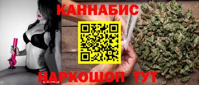 Альфа ПВП Кингисепп