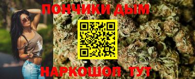 Альфа ПВП Кингисепп