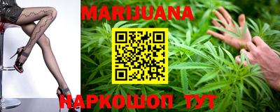 Альфа ПВП Кингисепп