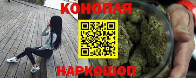 Альфа ПВП Кингисепп