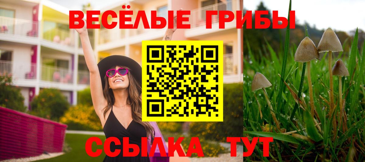 Псилоцибиновые грибы Psilocybe  Вход с VPN  Туймазы 
